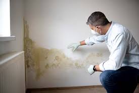 Why You Should Choose Our Mold Remediation Services in Archer City, TX